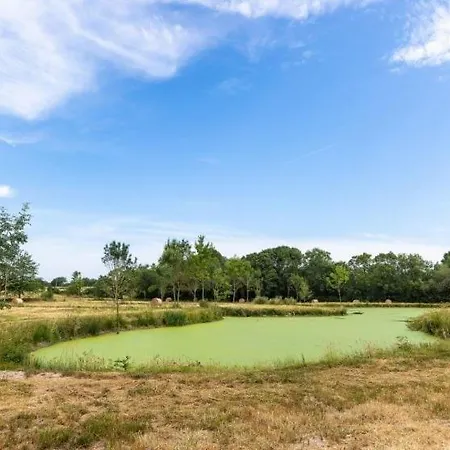 Petite Maison Avec Mezzanine