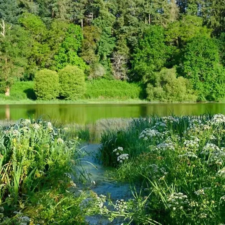 Petite Maison Avec Mezzanine بيت للعطل La Chaize-Giraud