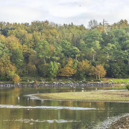 Petite Maison Avec Mezzanine بيت للعطل La Chaize-Giraud